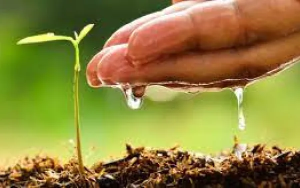 soil moisture